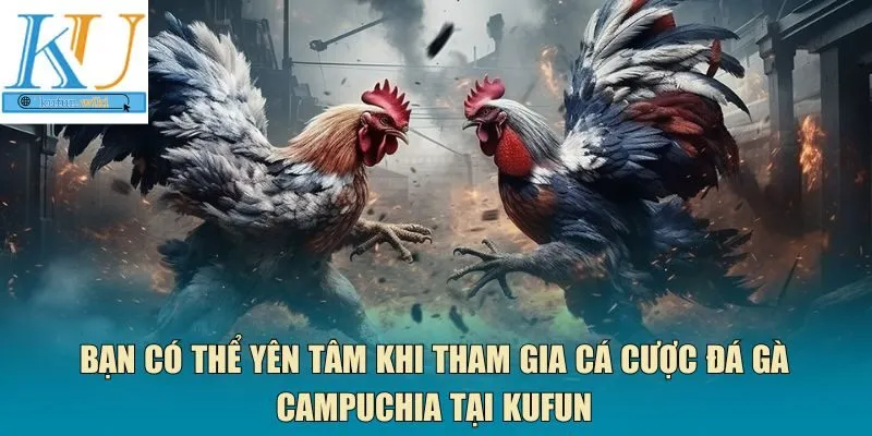 đá gà Campuchia tại Kufun